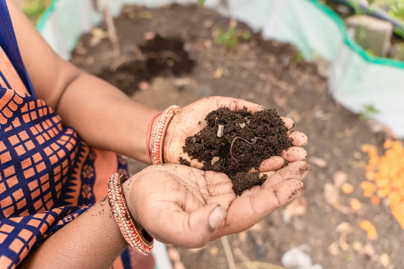 Hands holding rich, dark soil with worms, surrounded by a garden. The person wears colorful bangles, reflecting a sense of nurturing and care.
