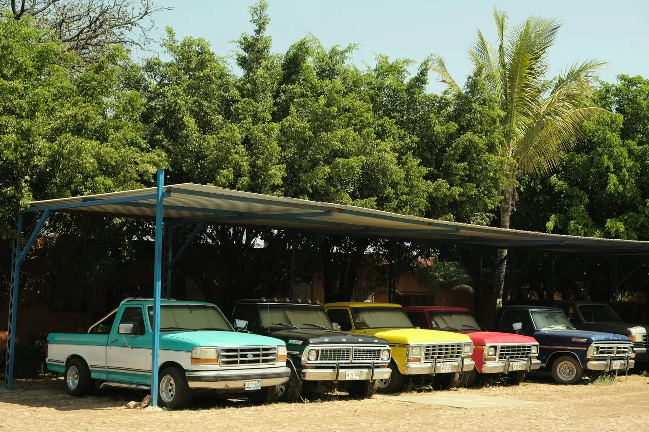 Five vintage trucks in bright colors, including turquoise, green, yellow, red, and blue, are parked under a metal roof beside lush green trees.