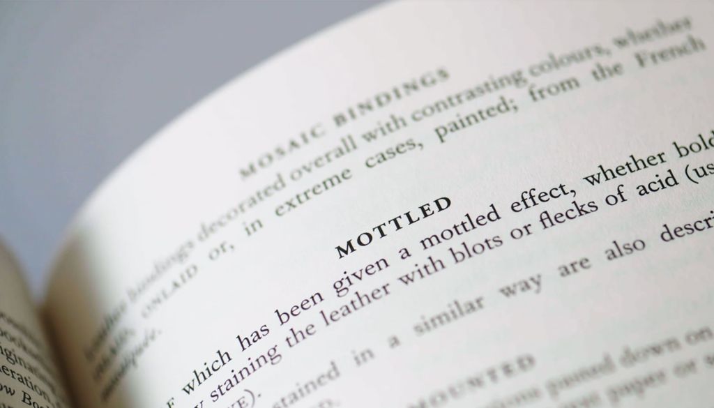 close up of black words on white dictionary page