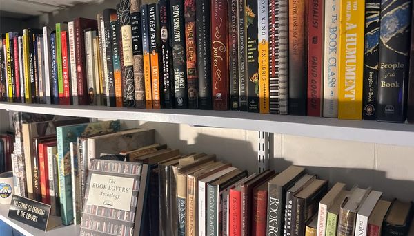 image of two bookshelves full of books spine out