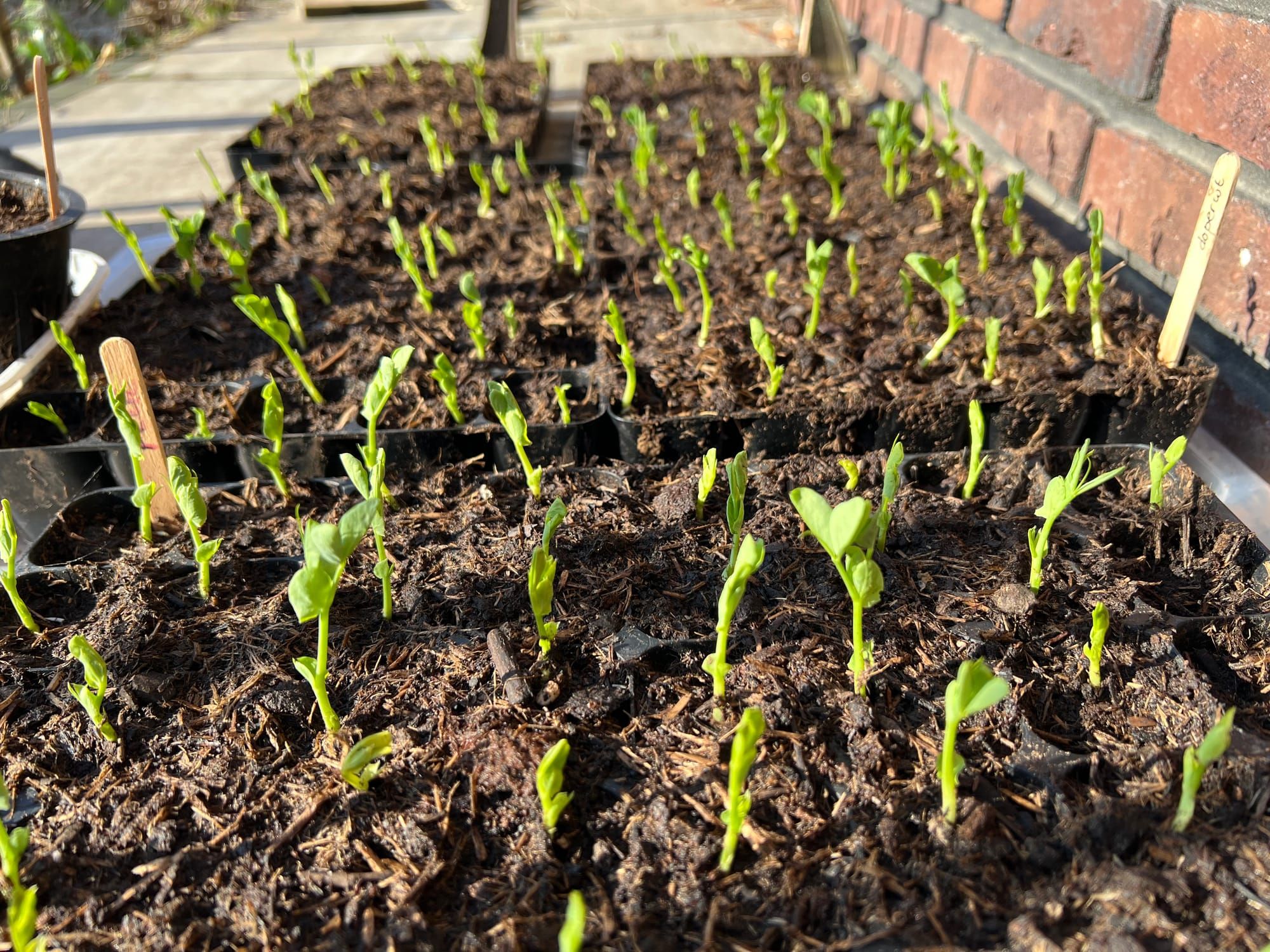 Wanneer doe je meer?