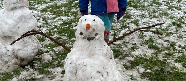 Sneeuwval en hoopvolle knoppen