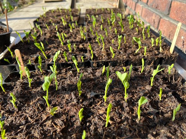 Wanneer doe je meer?