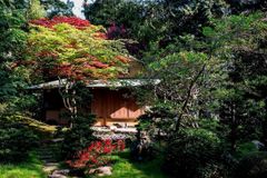 Albert-Kahn Museum and Garden: The Banker Who Collected the World in Colour