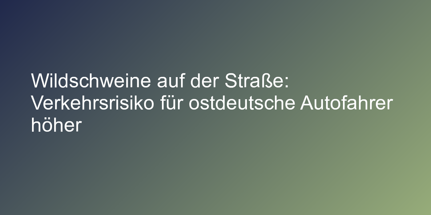 Umfrage zu Wildunfällen