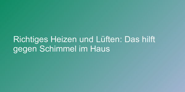 Das hilft gegen Schimmel im Haus