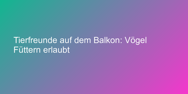 Tierfreunde auf dem Balkon: Vögel Füttern erlaubt