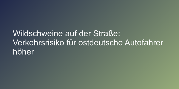 Umfrage zu Wildunfällen