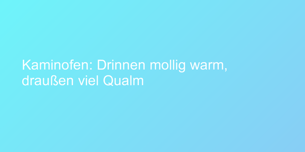 Kaminofen: Drinnen mollig warm, draußen viel Qualm