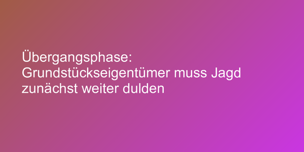 Urteil zu Inkrafttreten einer gesetzlichen Neuregelung
