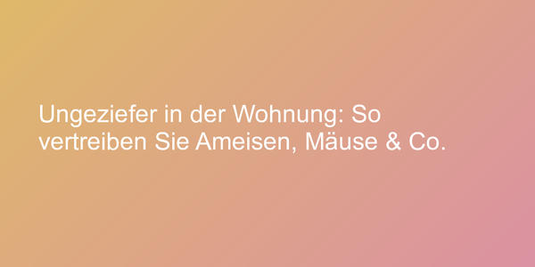 Ungeziefer in der Wohnung: So vertreiben Sie Ameisen, Mäuse & Co.