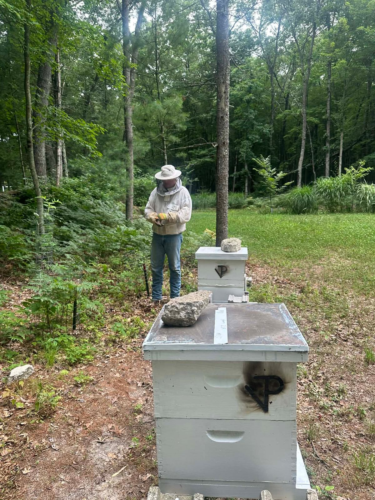 From our Hives to your Home