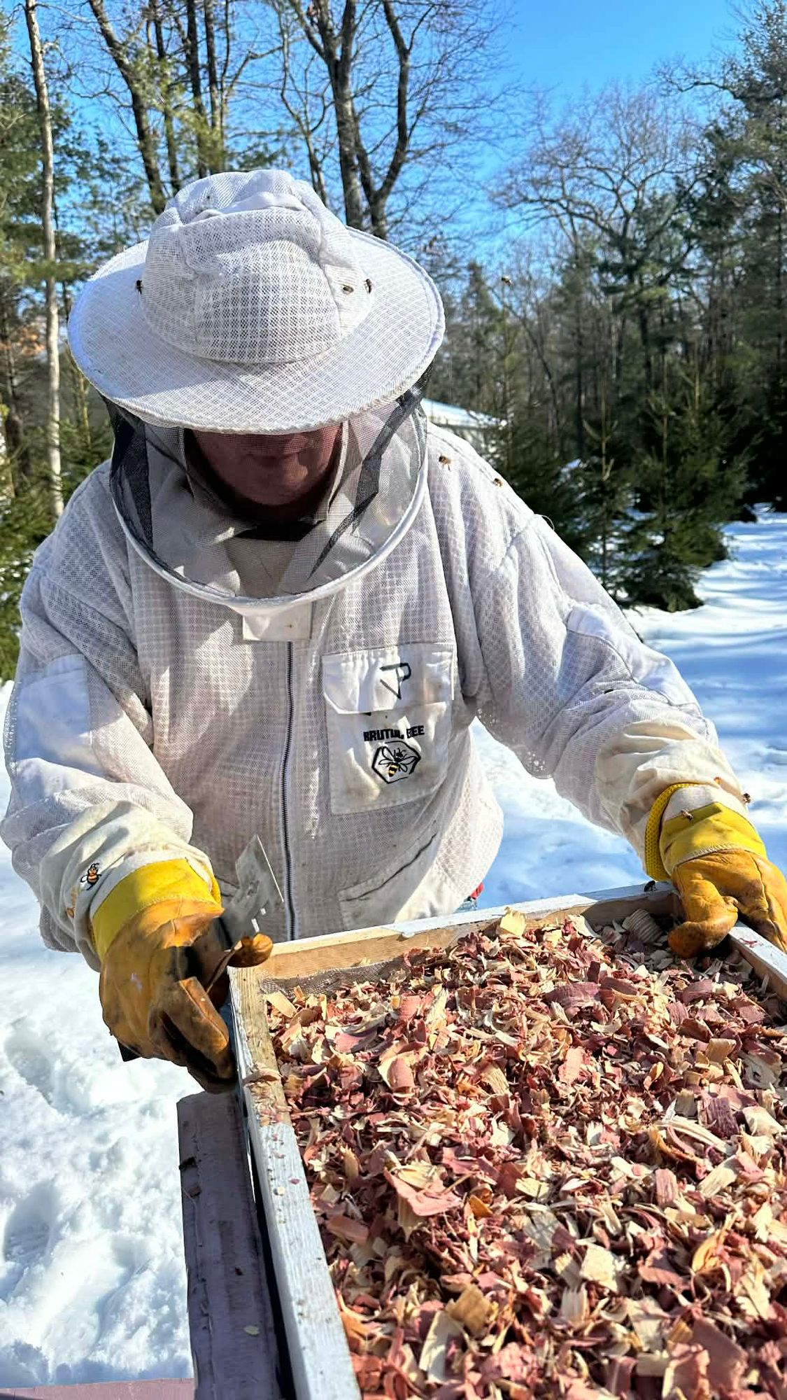 Beekeeping in the Snow?
