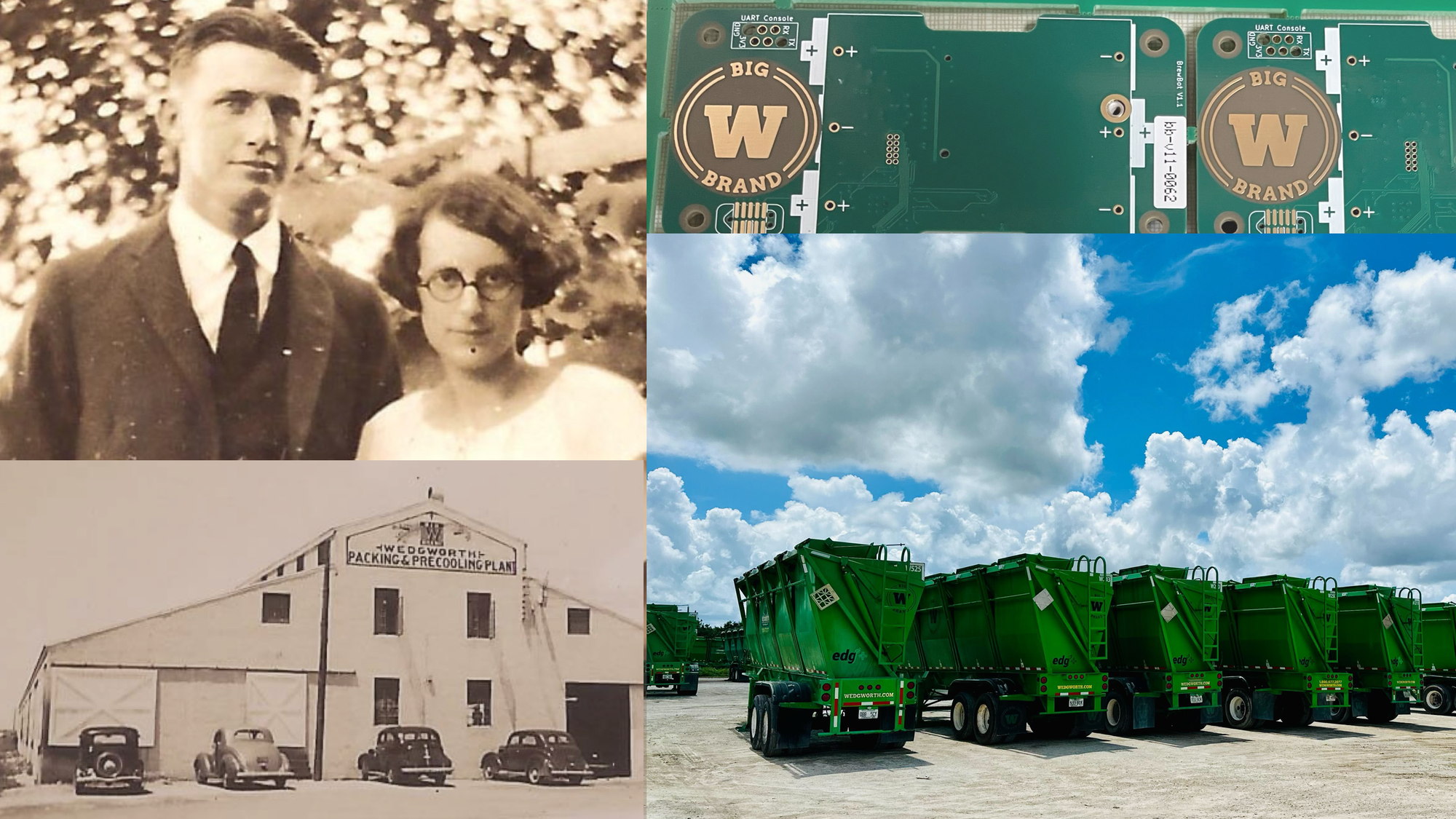 Rooted in Tradition, Growing with Technology