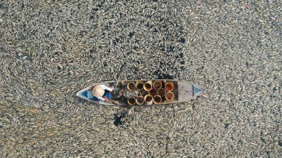 世界苦茶05月02日新闻 | 48条 | 广东高速路塌陷导致36死30伤