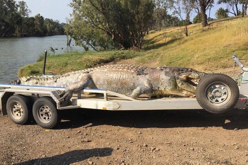 世界苦茶09月18日新闻 | 41条 | Claude白帽黑客攻入OpenAI