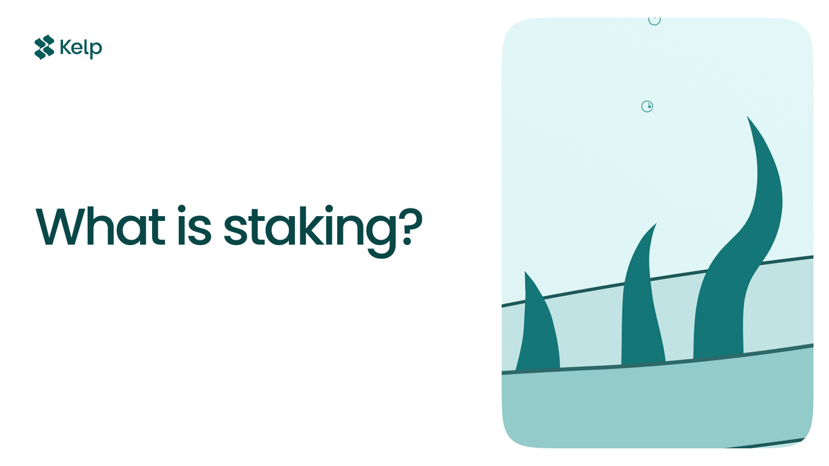 What is Staking?