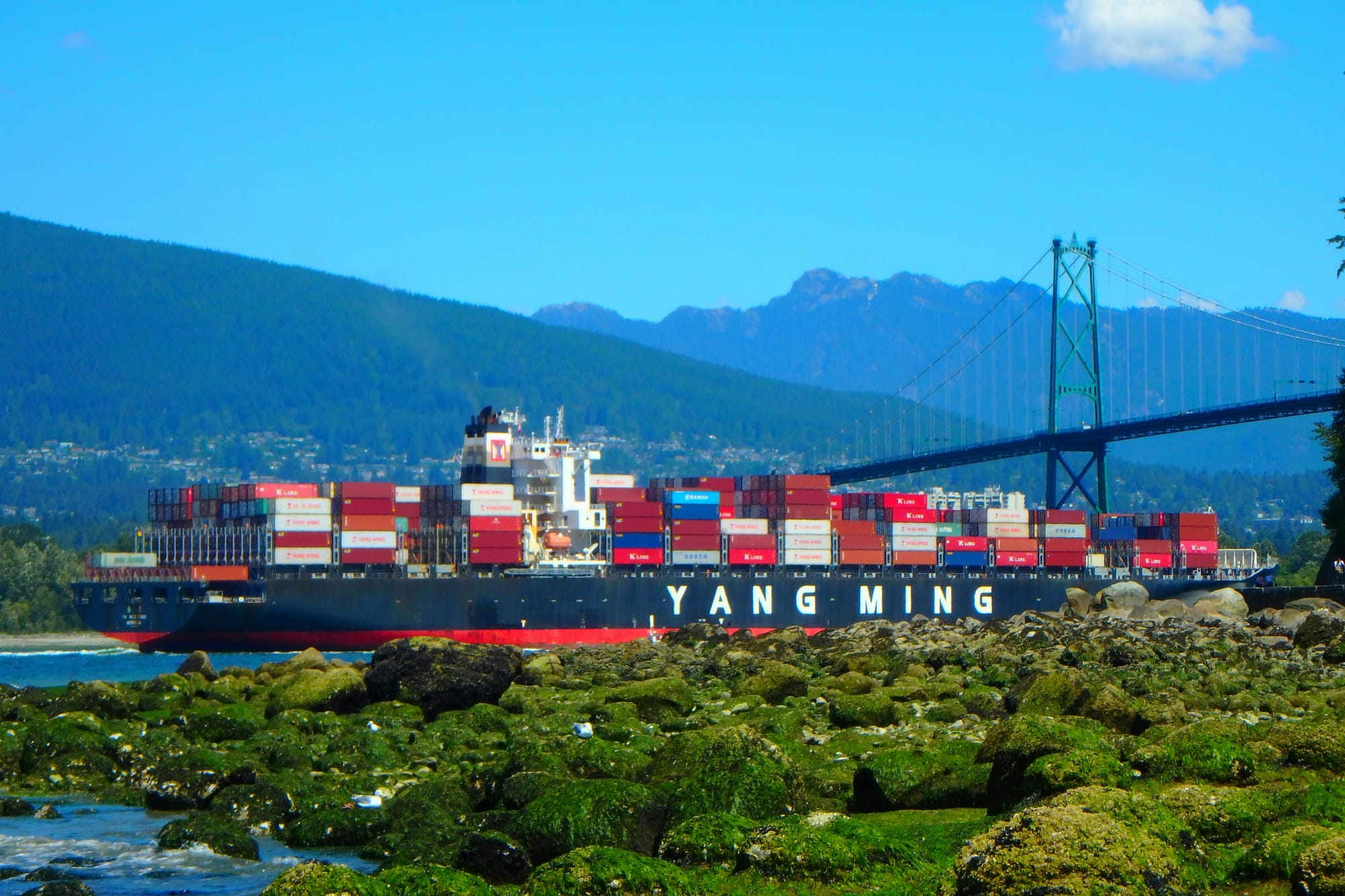 Thaw in US-China cold trade war spurs global rally