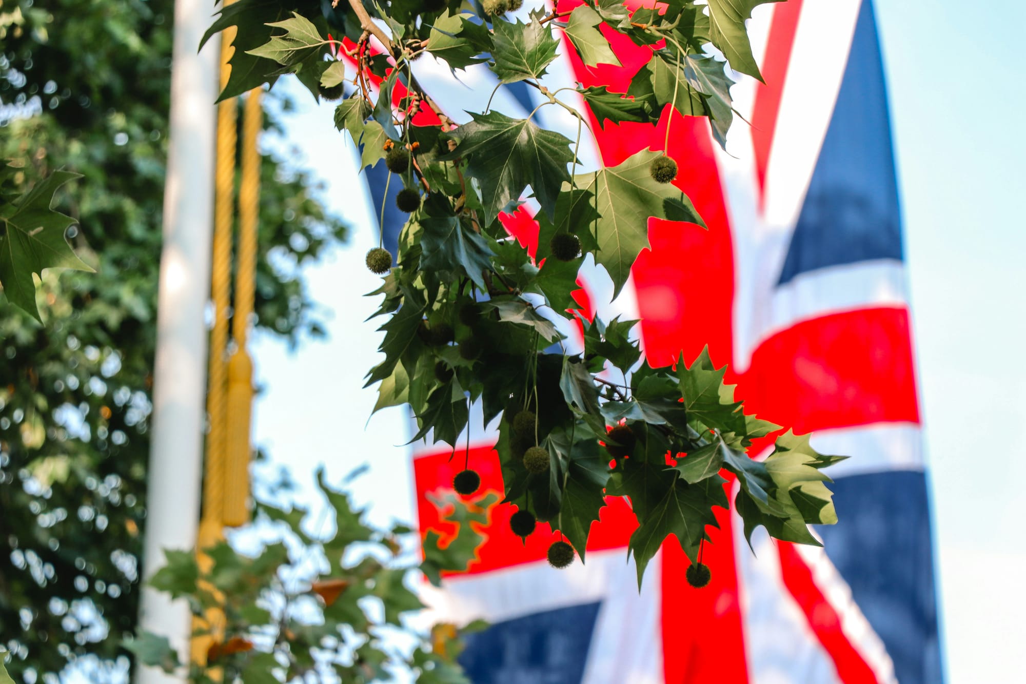 Prospect of US-UK trade deal buoys markets; NZX50 stumbles late