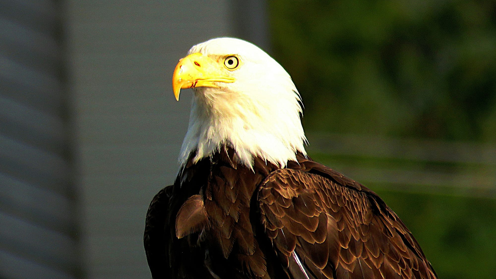 US Liberation Day keeps investors on edge; NZX50 nudges higher