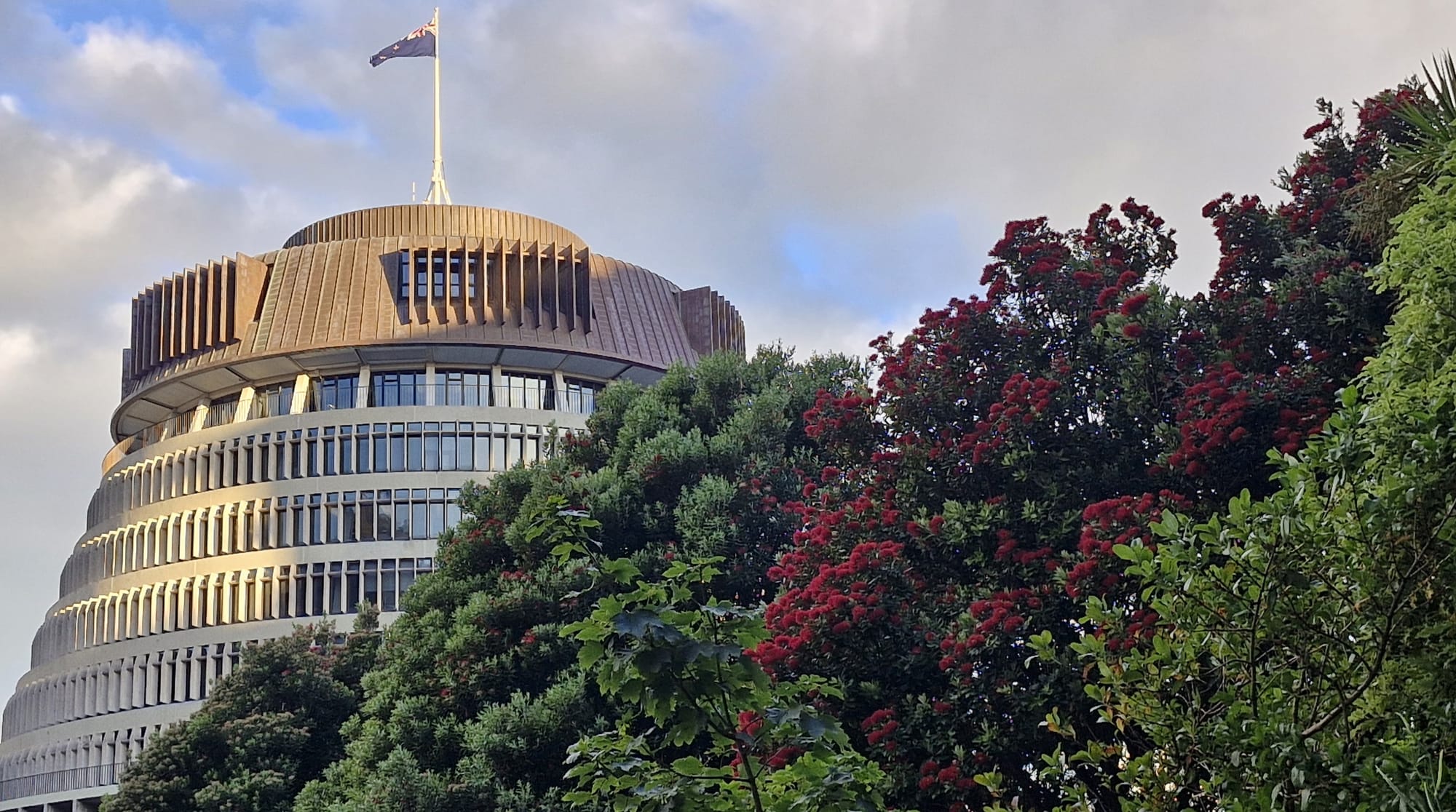 Minister Watts mulls over shrinking foreign investment tax net