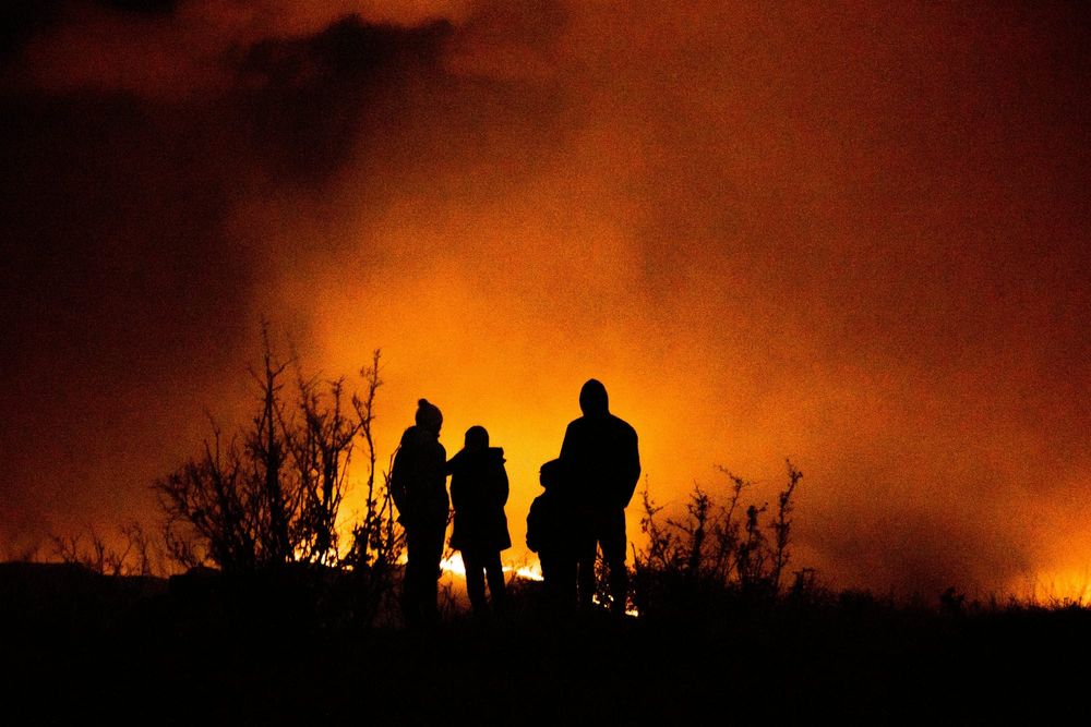 NZ insurers might escape heating reinsurance post image