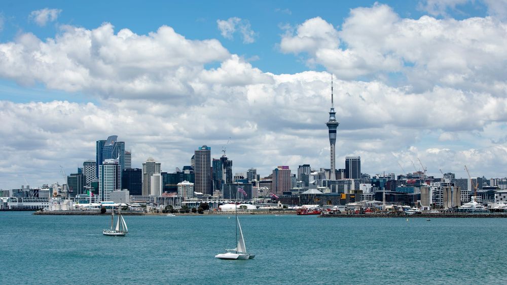 F&P Healthcare catches up as NZX50 rallies; Fonterra eyes ruling post image