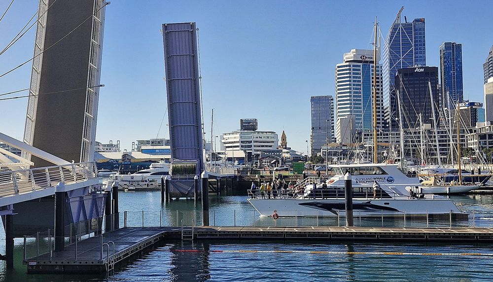 NZX50 sinks as stalled economy paves way for steeper rate cut post image