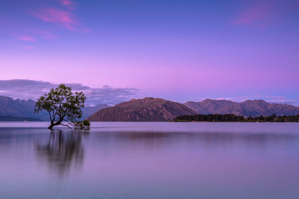 NZ returns from long weekend to slightly calmer markets post image