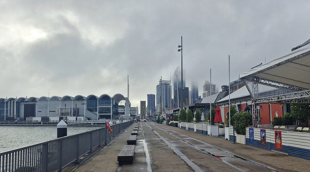 NZX50 dips, dodging worst of Asian slide; KMD falls post image