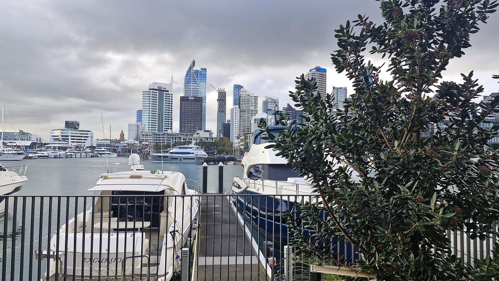 NZX 50 joins Asia rally on Wall Street record while Contact outlook cools post image