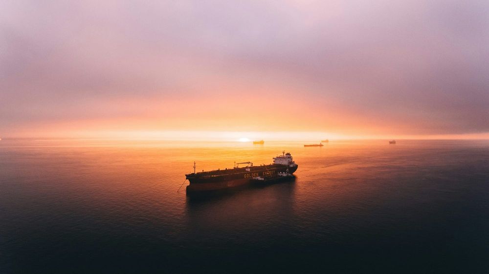 NZX 50 gains as oil prices ease; Vista hits two-month high post image