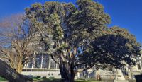 Watts loosens tax noose on foreign investments post image