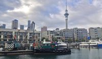 NZX 50 gains as US-Iran tensions subside, exporters rally post image