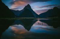 Milford sticks to its guns as Simplicity takes KiwiSaver growth crown post image