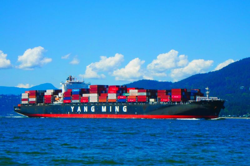 Trump 2.0 tariffs back on in March; kiwi slides post image