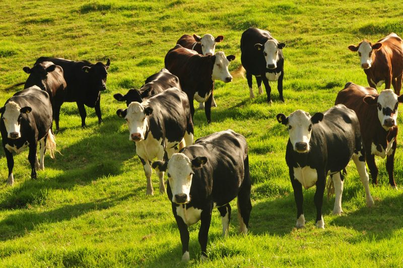 Rural Equities takeover shows good things take time post image