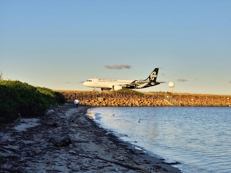 Sharesies brigade souring on Air NZ in turbulent winds post image