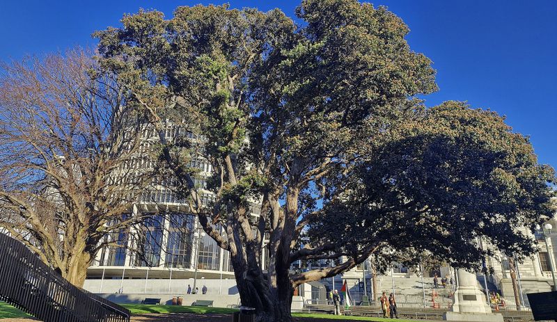 Watts loosens tax noose on foreign investments post image