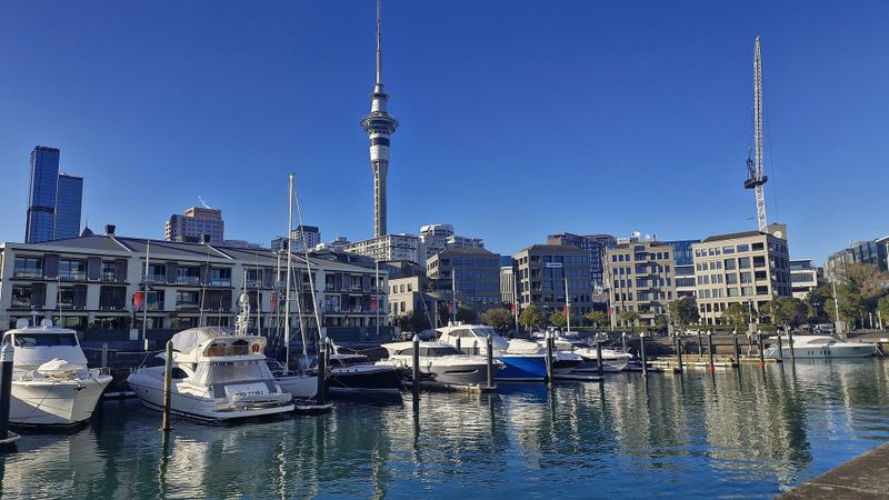 NZX 50 loses momentum amid choppy waters through Strait of Hormuz post image