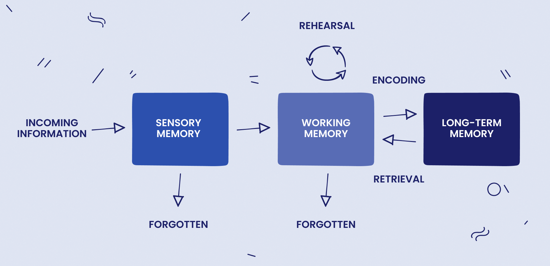 Information Processing Model