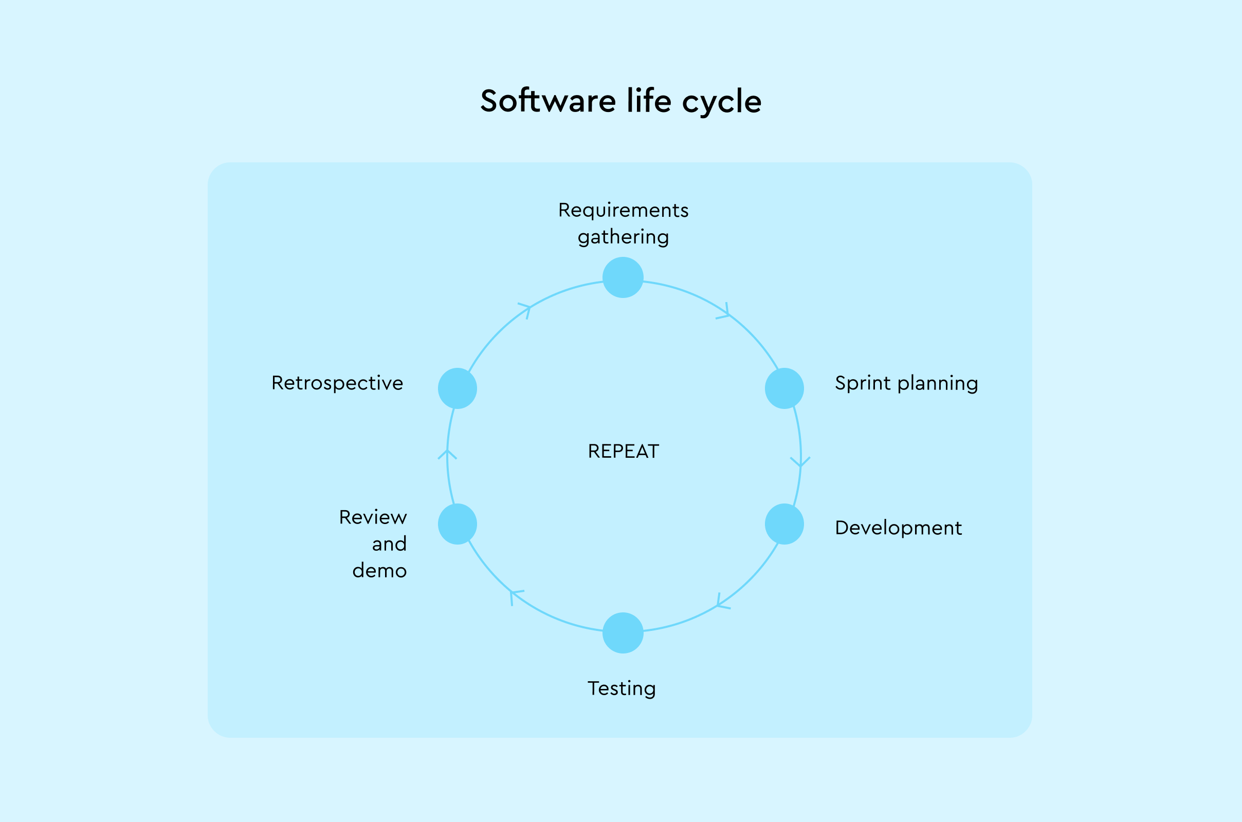 Software life cycle