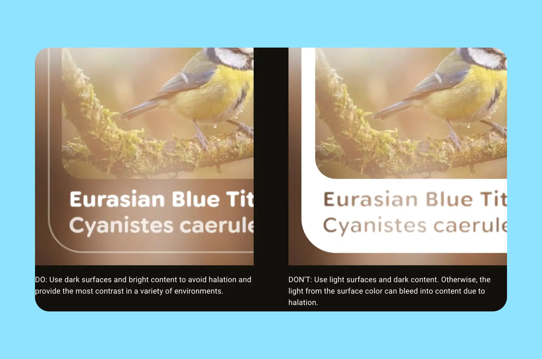 Glimmer: do and don't of contrast. Source: https://design.google/library/transparent-screens