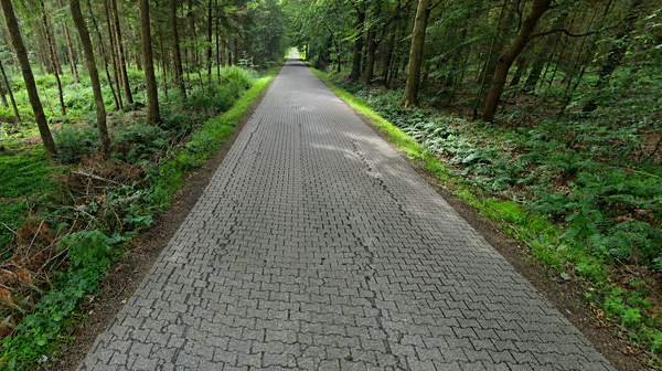 Straßensanierung in Großheide: fair, planbar, finanzierbar