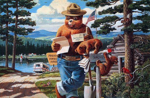 MetaZoo's New Collaboration With Smokey The Bear