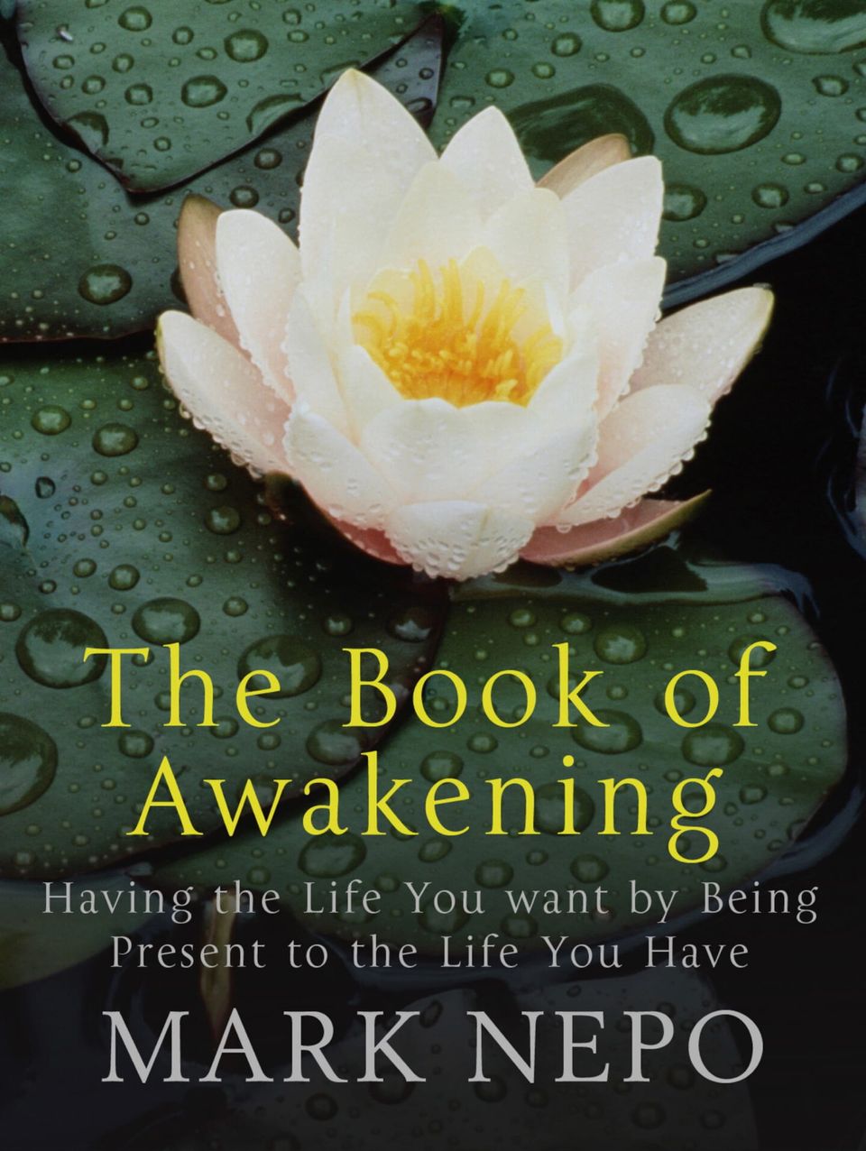 'The Book of Awakening' by Mark Nepo - Book Impressions -⭐⭐⭐⭐/5