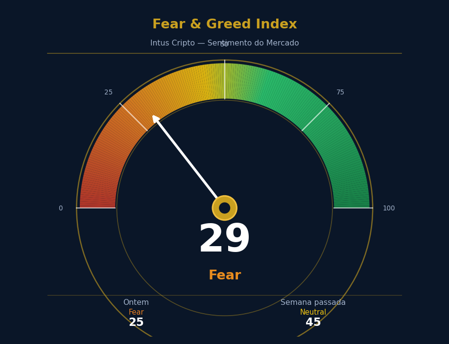 Fear and Greed Index - Intus Cripto