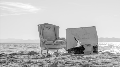 TELLY ON THE BEACH