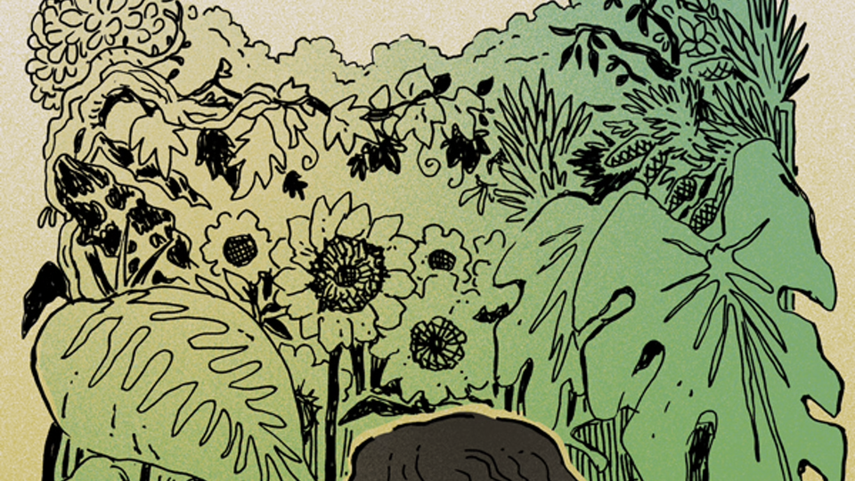 Strange Horizons is Turning 25