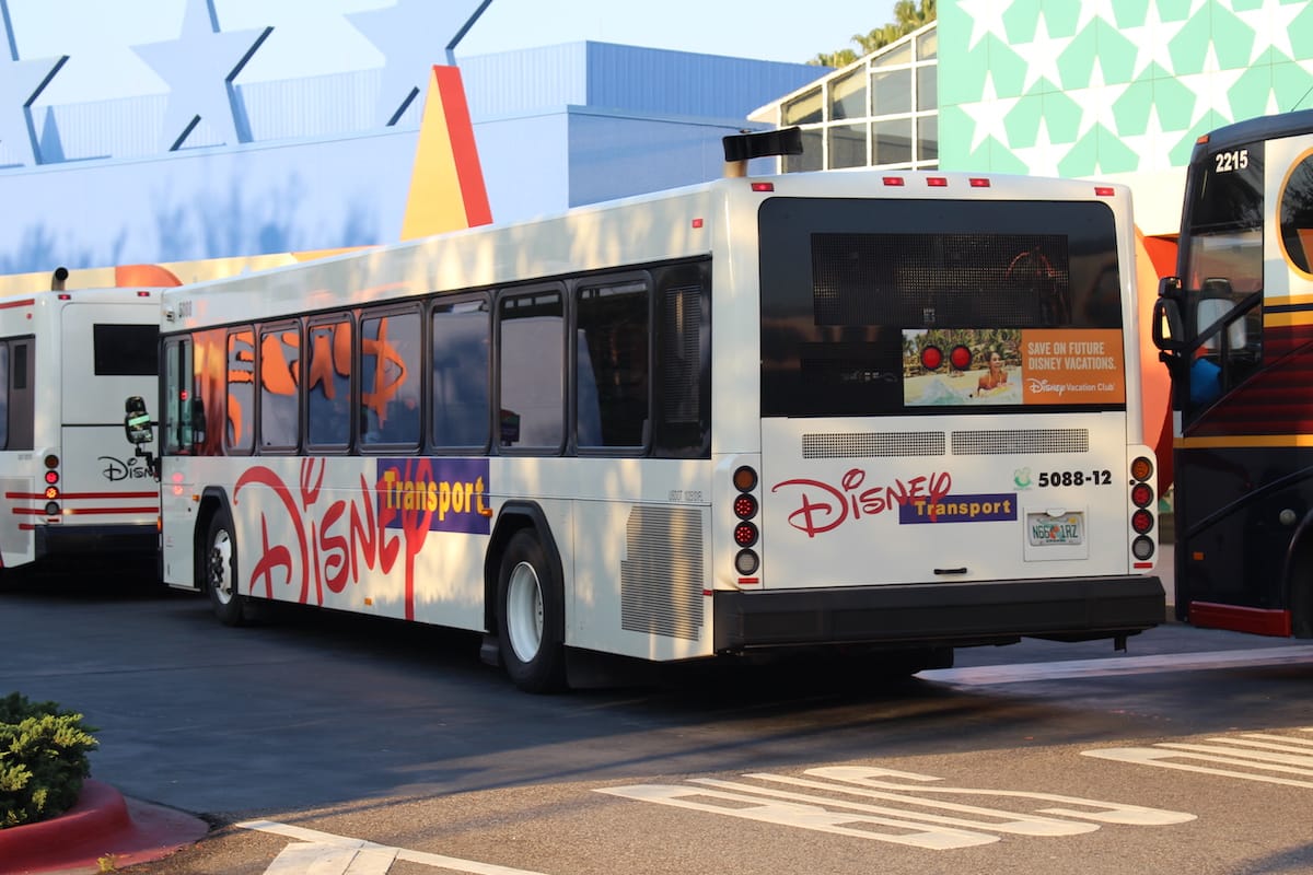 disney buses